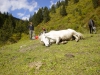 Arke-China-089