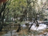 Arke-China-100