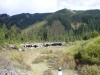 Arke-China-133