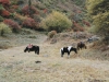 Arke-China-169