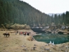 Arke-China-174