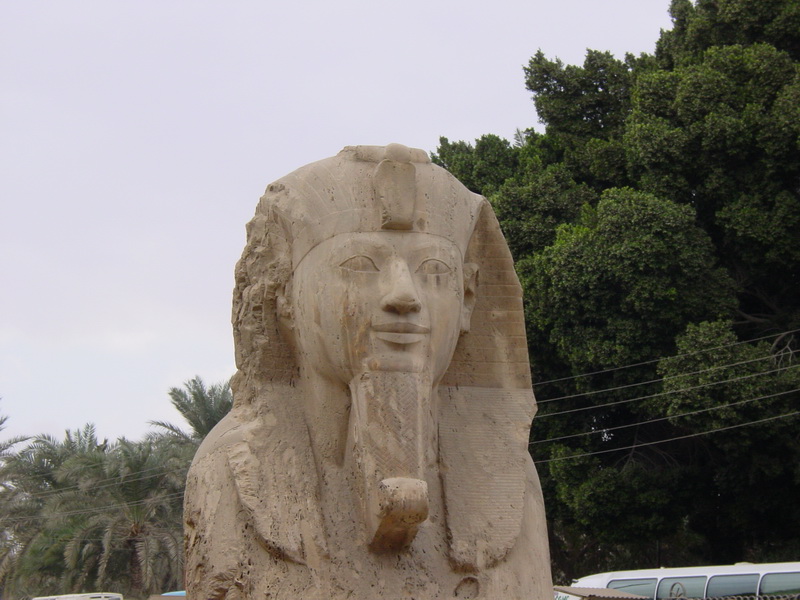 Arke-Egypt-249