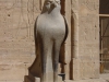 Arke-Egypt-111