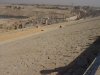 Arke-Egypt-148