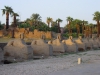 Arke-Egypt-229