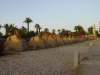 Arke-Egypt-230