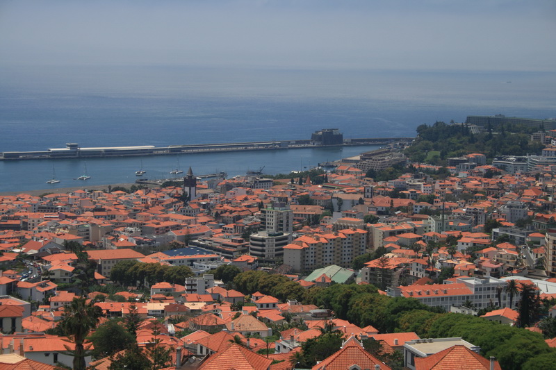Arke-Madeira-171