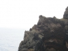 Arke-Madeira-025