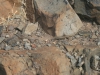 Arke-Madeira-037