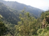 Arke-Madeira-055