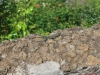 Arke-Madeira-074
