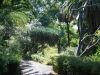 Arke-Madeira-087
