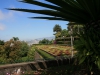 Arke-Madeira-102