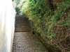 Arke-Madeira-107