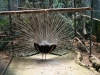 Arke-Madeira-129