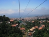 Arke-Madeira-148