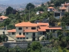 Arke-Madeira-159
