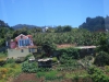 Arke-Madeira-165