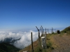 Arke-Madeira-341