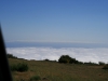 Arke-Madeira-422