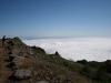 Arke-Madeira-426
