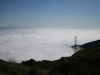 Arke-Madeira-428