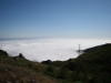 Arke-Madeira-429