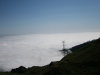 Arke-Madeira-433