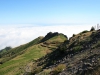 Arke-Madeira-438