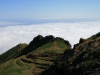 Arke-Madeira-439
