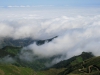 Arke-Madeira-441