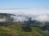 Arke-Madeira-444