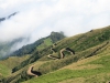 Arke-Madeira-445