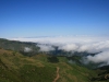 Arke-Madeira-446