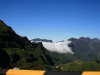 Arke-Madeira-450
