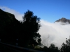 Arke-Madeira-466