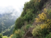 Arke-Madeira-469