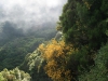 Arke-Madeira-470
