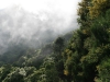 Arke-Madeira-471