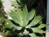 Marbella-2004-37