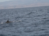 Marbella-2010-099