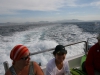Marbella-2010-109