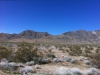 Arke-Vegas-026