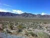 Arke-Vegas-028