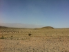 Arke-Vegas-034