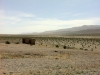 Arke-Vegas-036