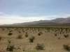 Arke-Vegas-038