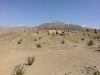 Arke-Vegas-039