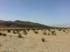 Arke-Vegas-041